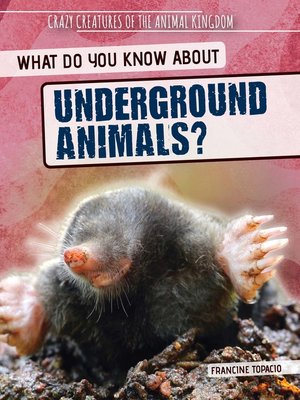 cover image of What Do You Know About Underground Animals?